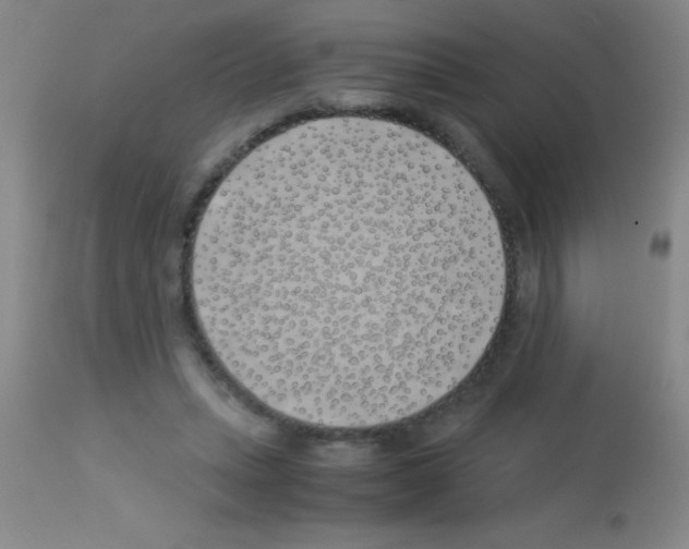 X0000113150447200910161224