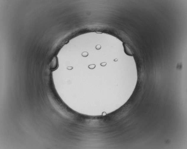 X0000113150448200910161224