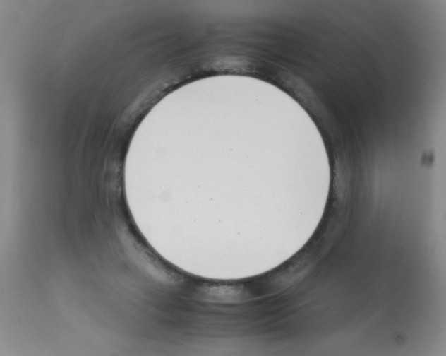 X0000113150449200910161224