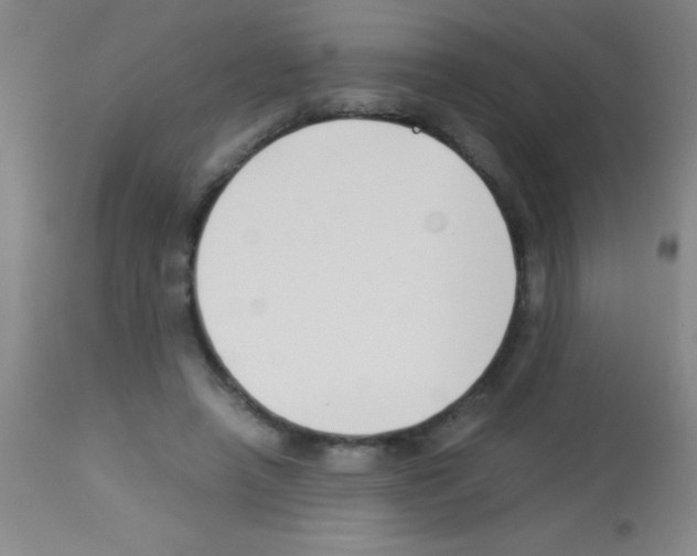 X0000113150450200910161224