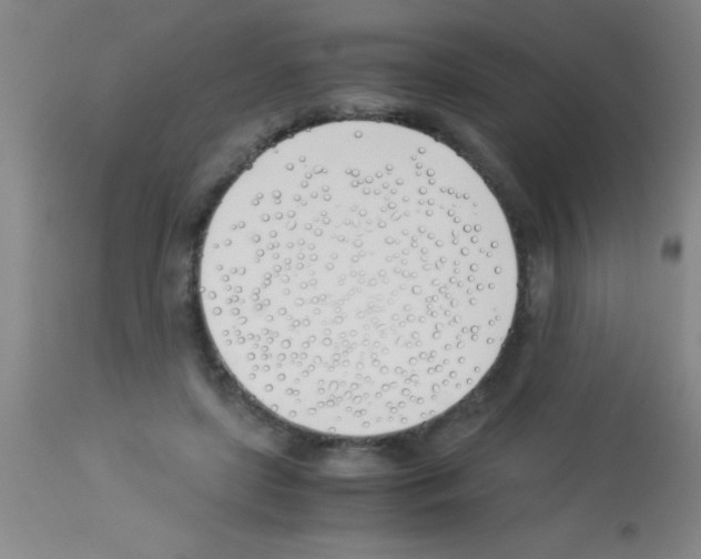 X0000113150451200910161224