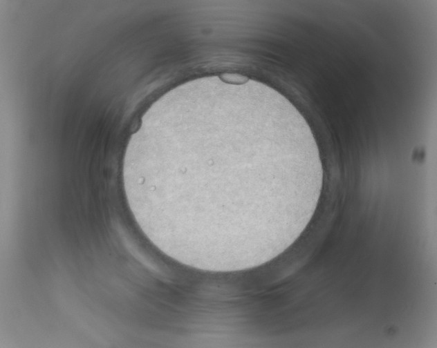 X0000113150454200910161224