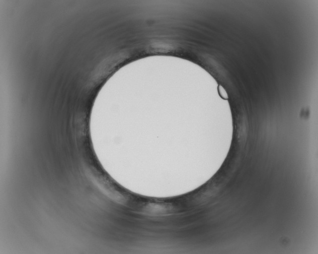 X0000113150455200910161224