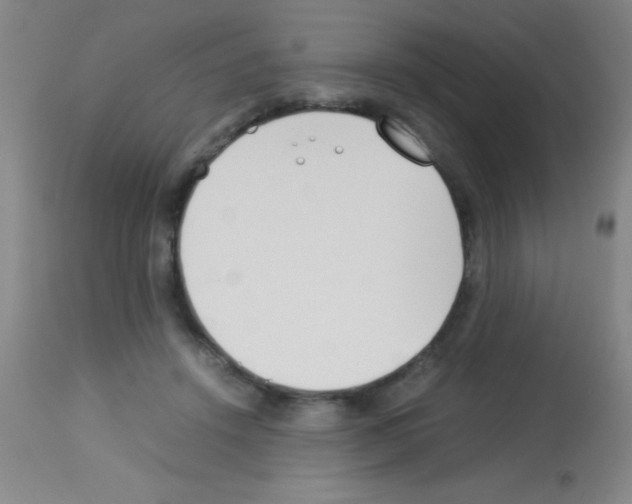 X0000113150456200910161224