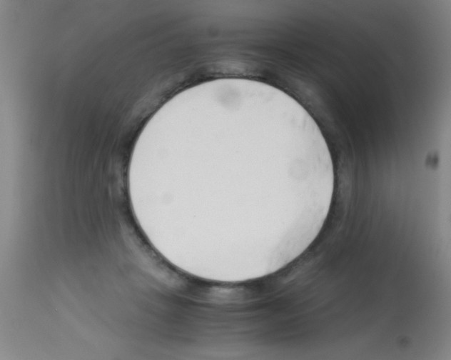 X0000113150457200910161224