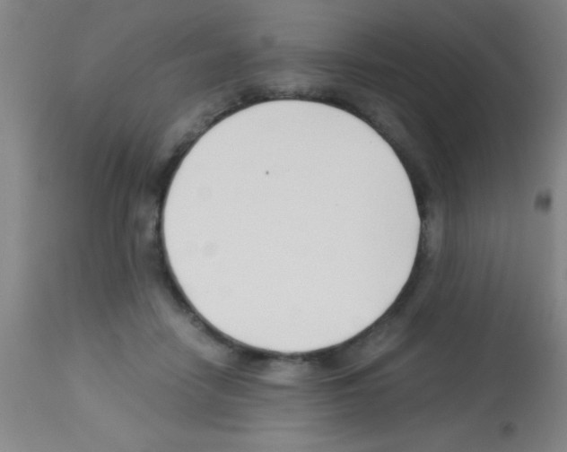 X0000113150458200910161224