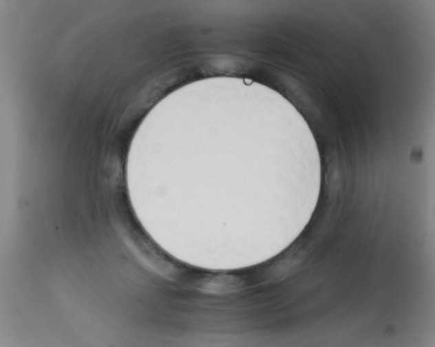 X0000113150459200910161224