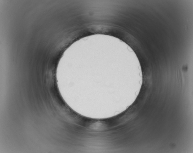 X0000113150460200910161224