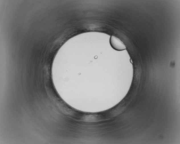 X0000113150461200910161224