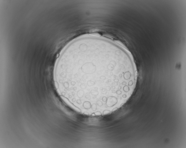 X0000113150462200910161224