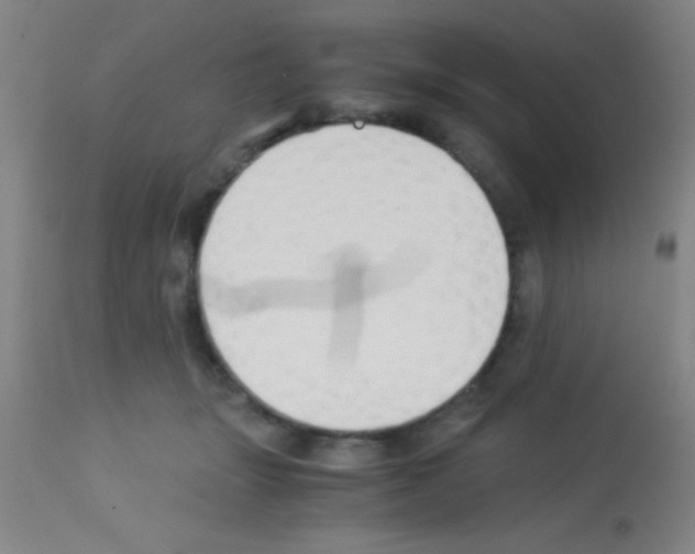 X0000113150463200910161224