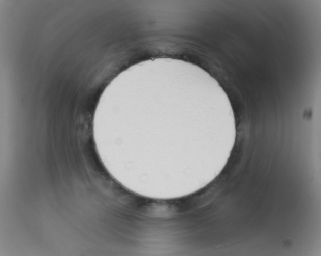 X0000113150464200910161224