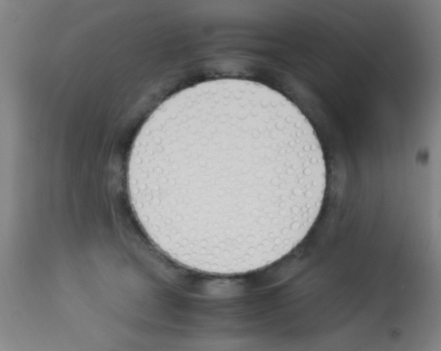 X0000113150465200910161224