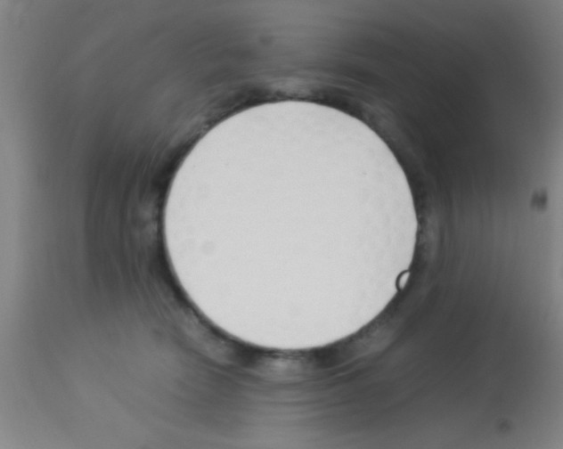 X0000113150466200910161224