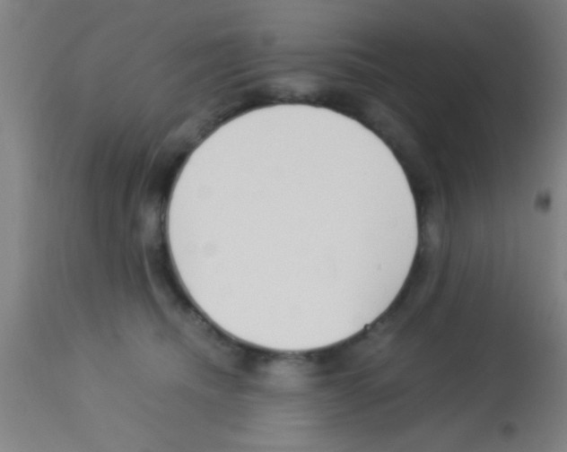 X0000113150468200910161224