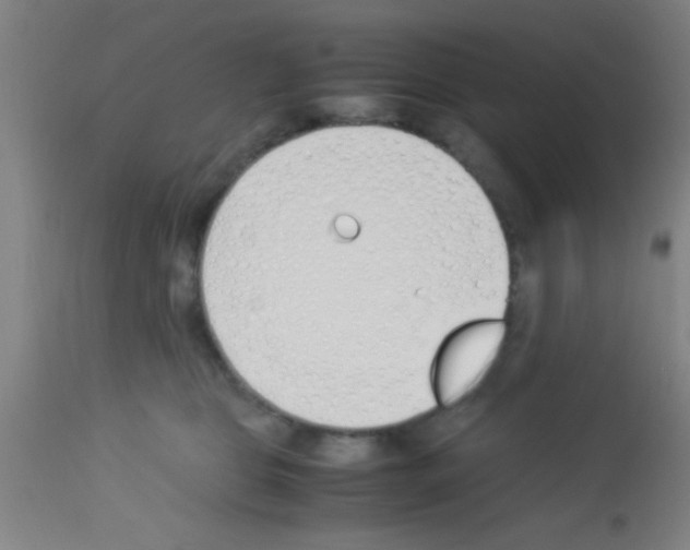 X0000113150469200910161224