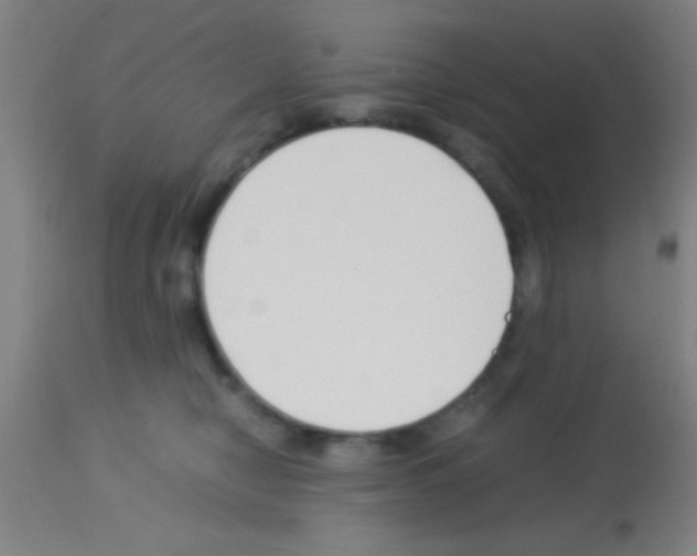 X0000113150470200910161225