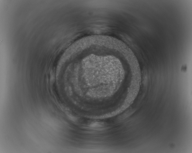 X0000113150471200910161225