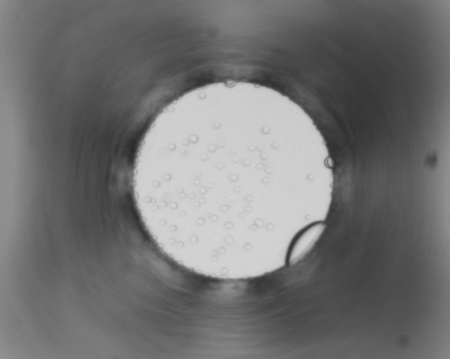 X0000113150474200910161225