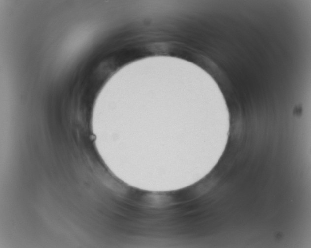 X0000113150477200910161225