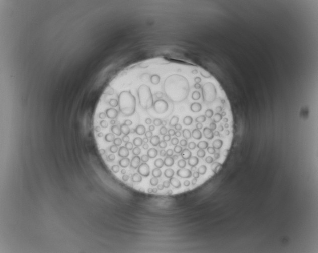 X0000113150478200910161225