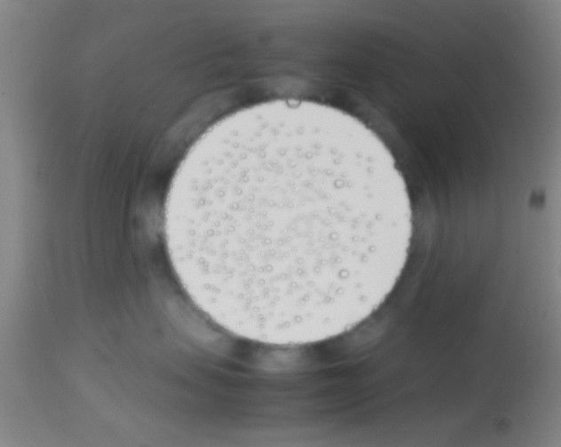 X0000113150479200910161225