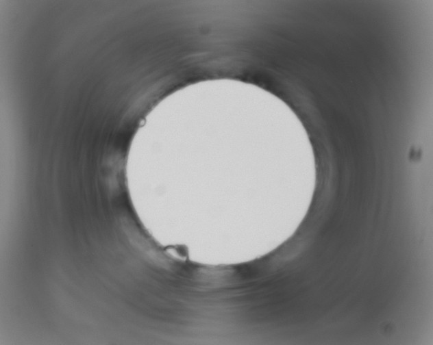 X0000113150480200910161225