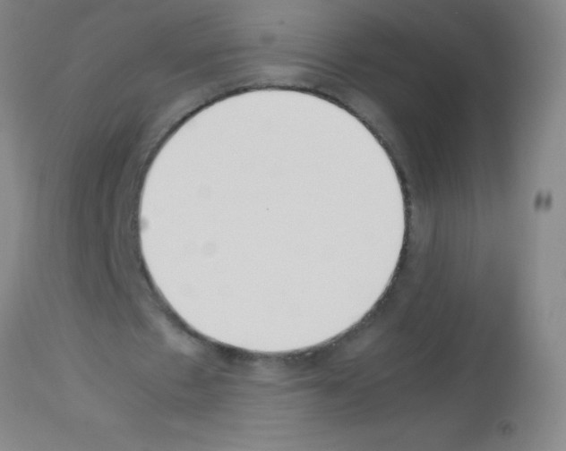 X0000113150481200910161224