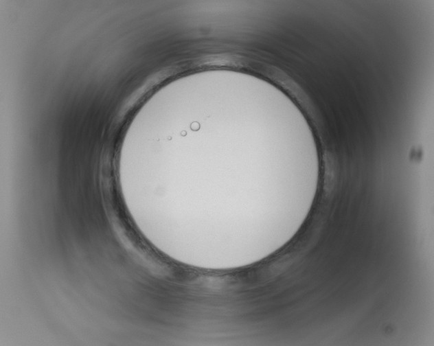 X0000113150482200910161224