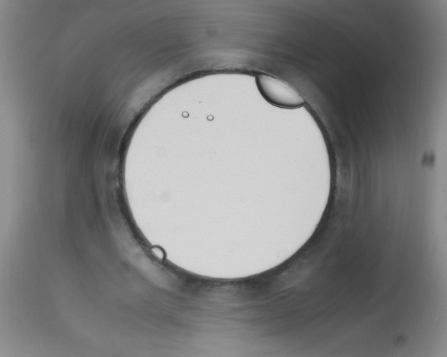 X0000113150485200910161224