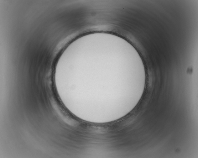 X0000113150486200910161224