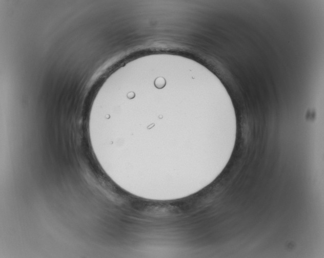 X0000113150488200910161224