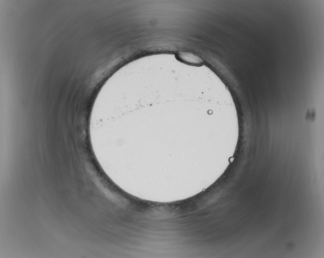 X0000113150489200910161224