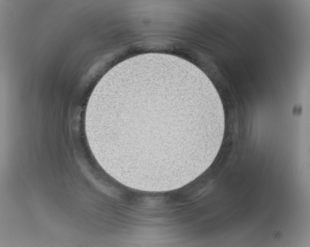 X0000113150495200910161224