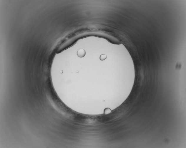 X0000113150496200910161224