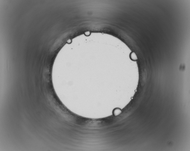 X0000113150497200910161224