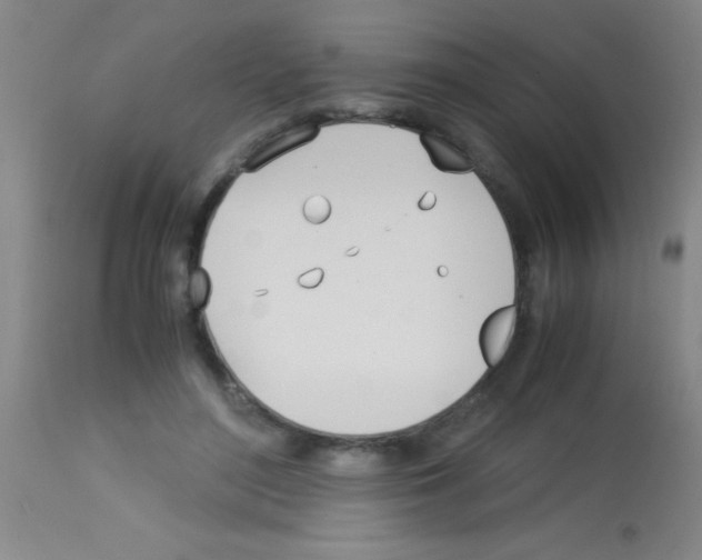 X0000113150500200910161224