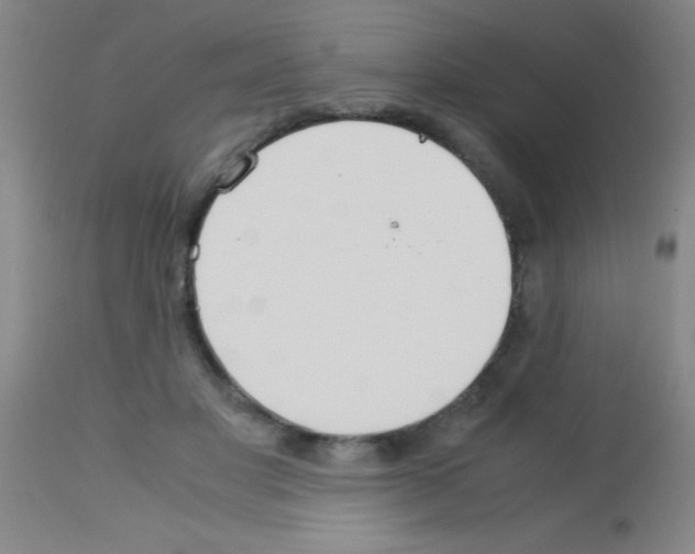 X0000113150501200910161224