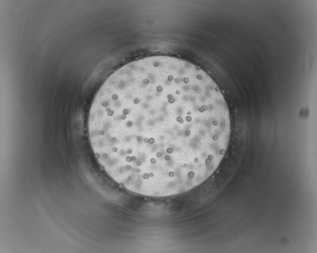 X0000113150502200910161224