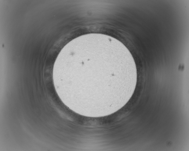 X0000113150503200910161224