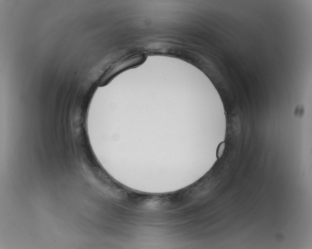 X0000113150504200910161224