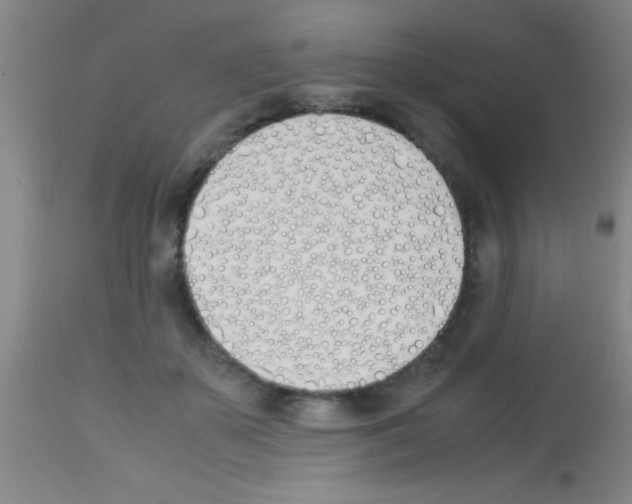 X0000113150507200910161224