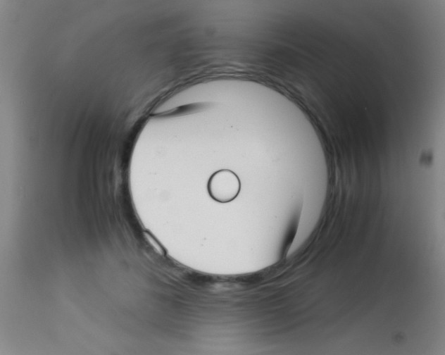 X0000113150508200910161224