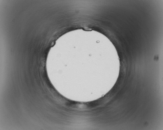 X0000113150509200910161224