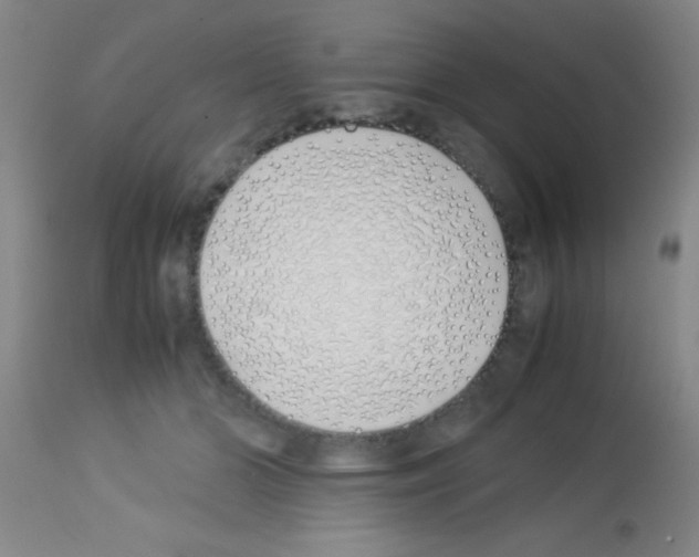 X0000113150510200910161224