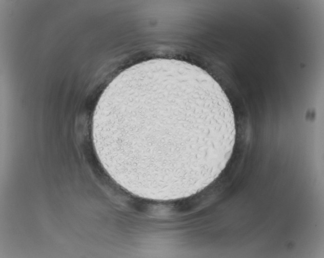 X0000113150511200910161224