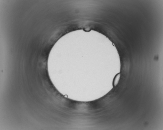 X0000113150513200910161224