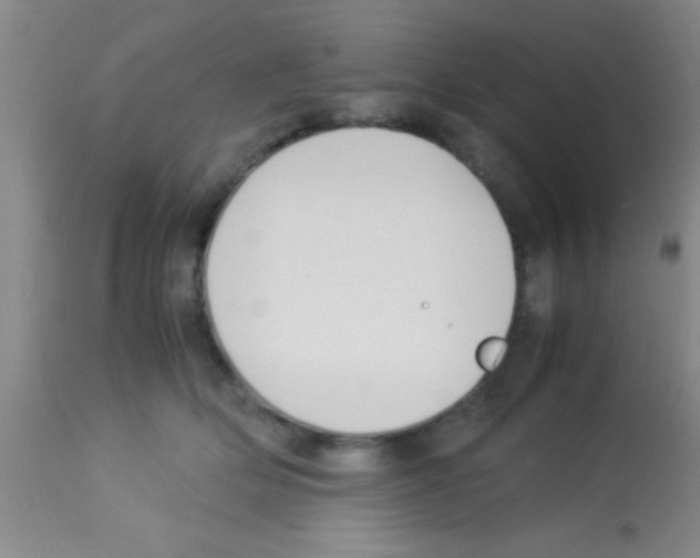 X0000113150514200910161224