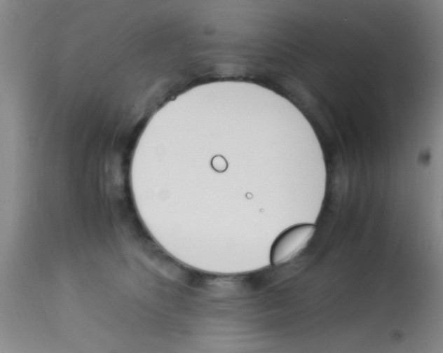 X0000113150516200910161223