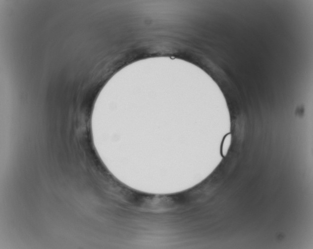 X0000113150517200910161223